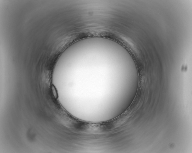 X0000093570121200711051105