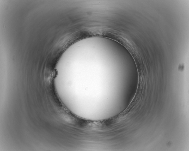 X0000093570125200711051105