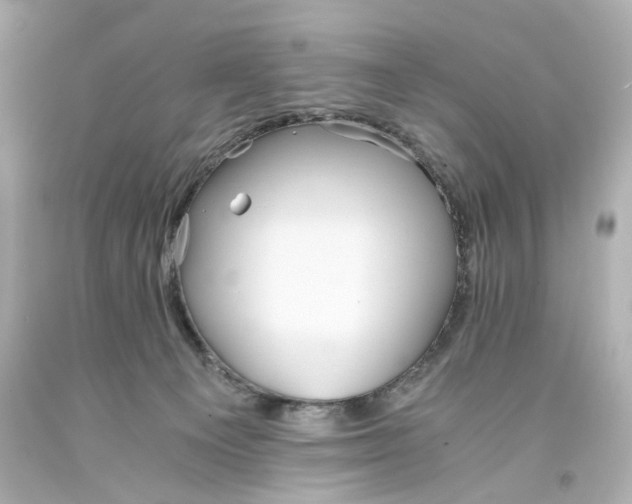 X0000093570129200711051105