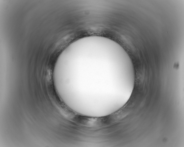 X0000093570130200711051105