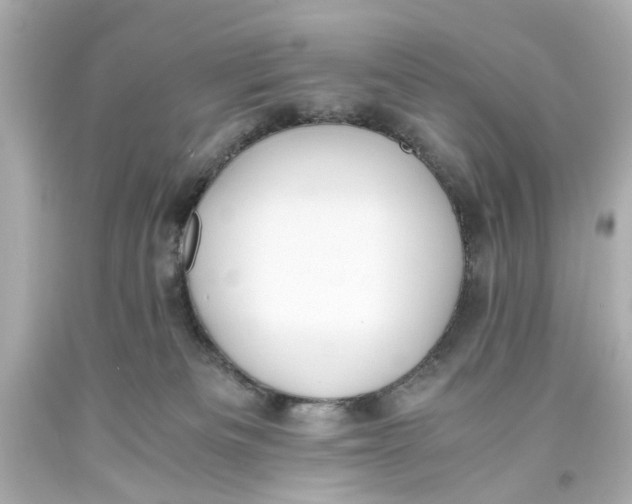 X0000093570133200711051105