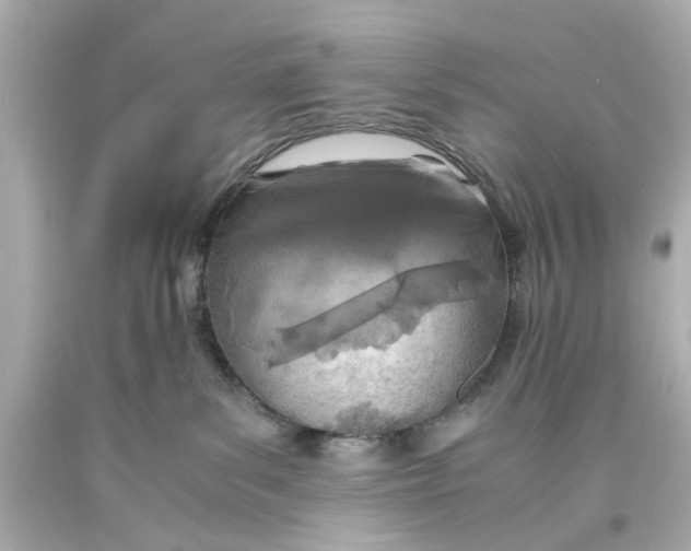 X0000093570139200711051105