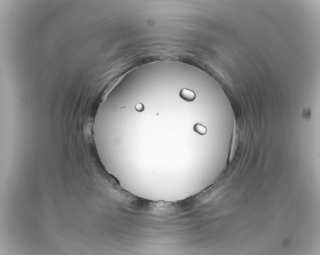 X0000093570141200711051105