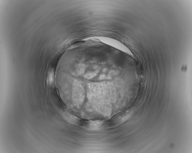 X0000093570143200711051105