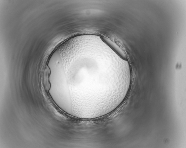 X0000093570145200711051104