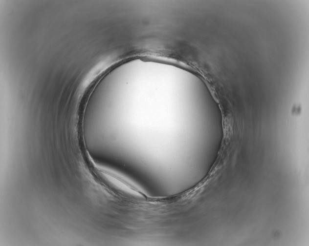 X0000093570150200711051104