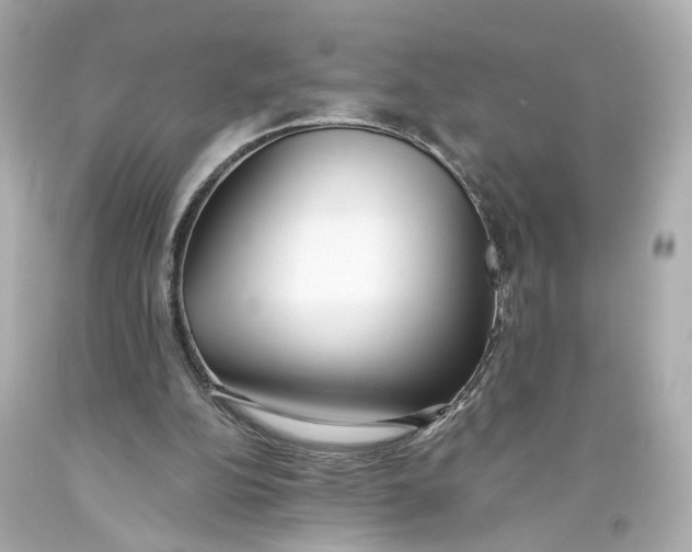 X0000093570152200711051105