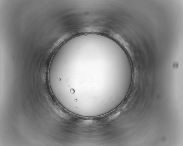 X0000093570153200711051105