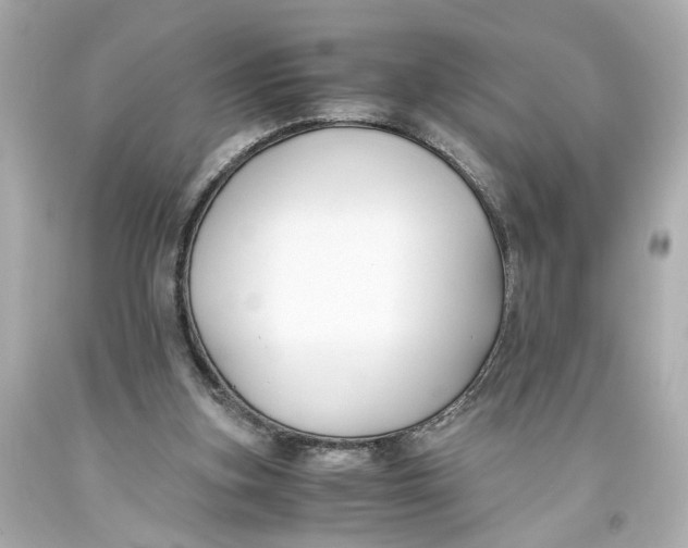 X0000093570155200711051105