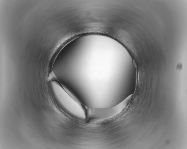 X0000093570156200711051105