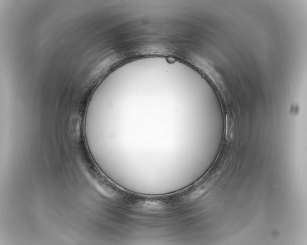 X0000093570157200711051105