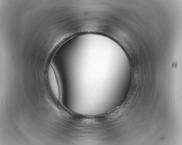 X0000093570160200711051105