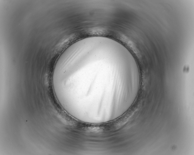 X0000093570161200711051105