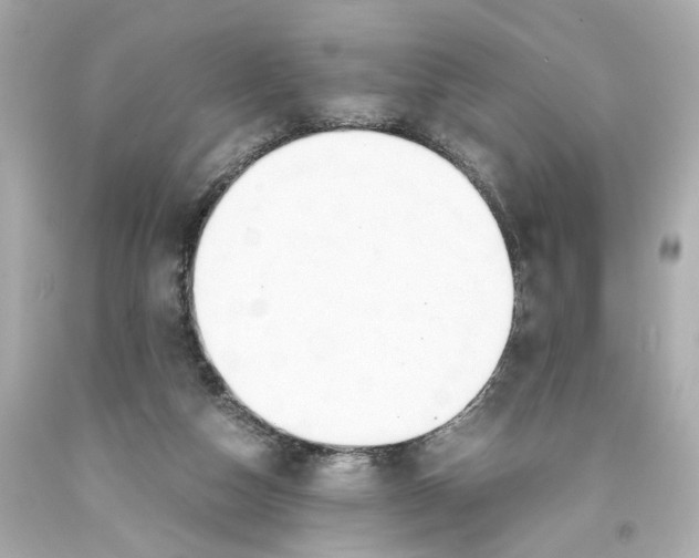 X0000093570162200711051105