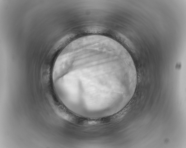 X0000093570163200711051105