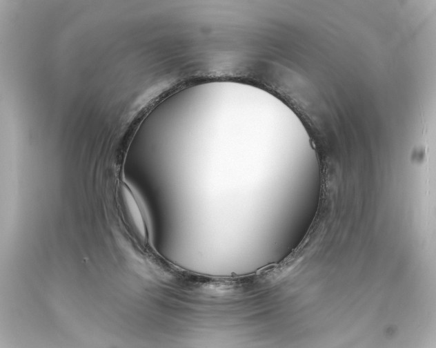 X0000093570164200711051105