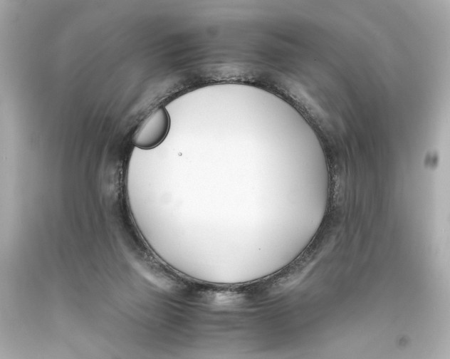 X0000093570165200711051105