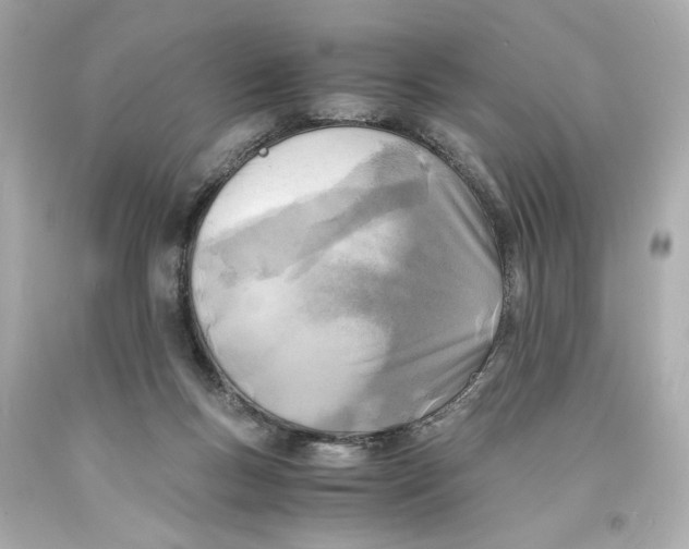 X0000093570167200711051105