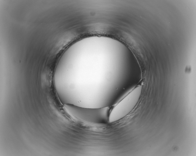 X0000093570168200711051105