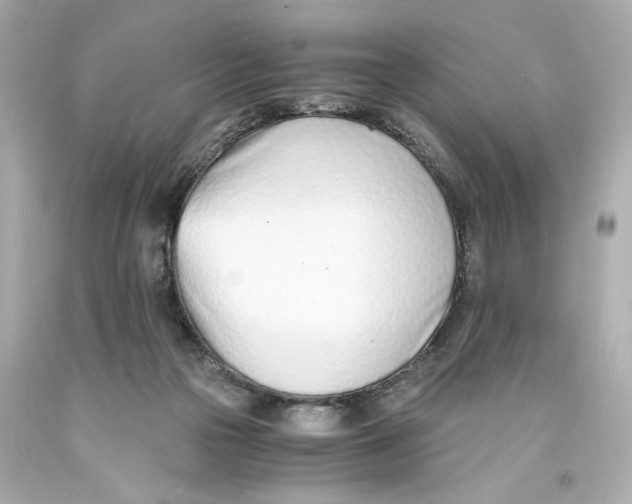 X0000093570169200711051105