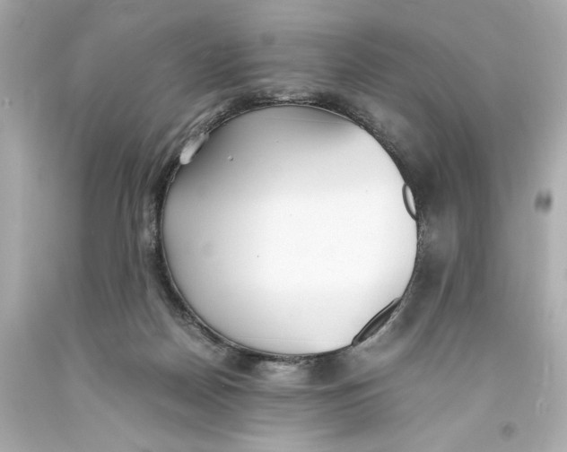 X0000093570170200711051105