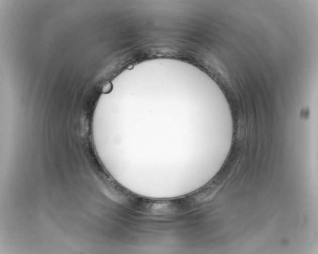 X0000093570173200711051105