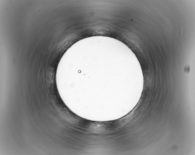 X0000093570174200711051105