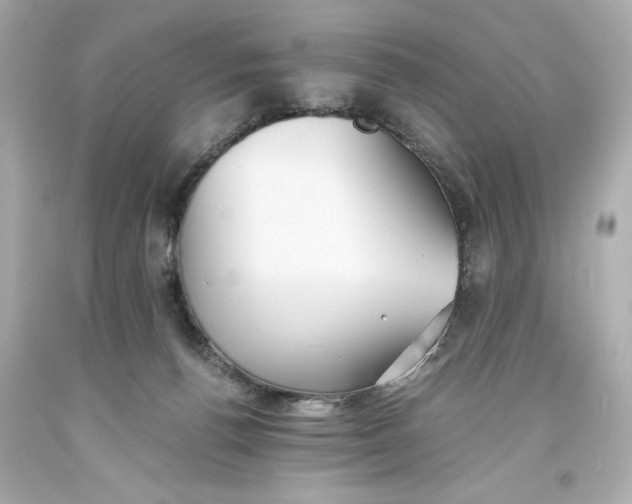 X0000093570176200711051105