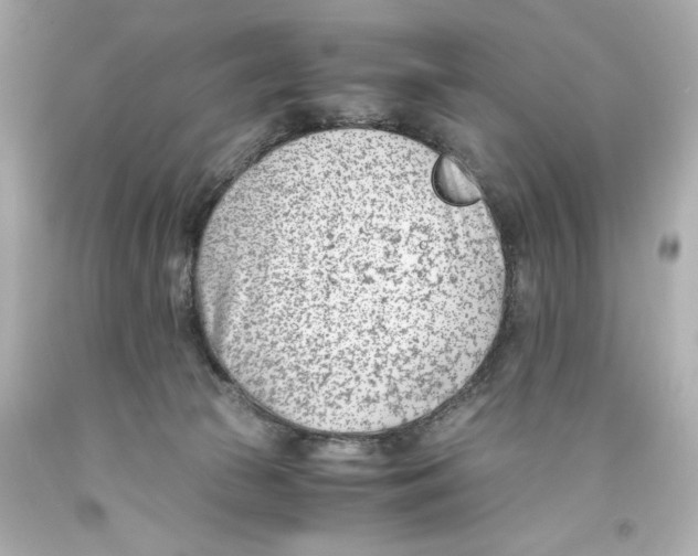 X0000093570177200711051105