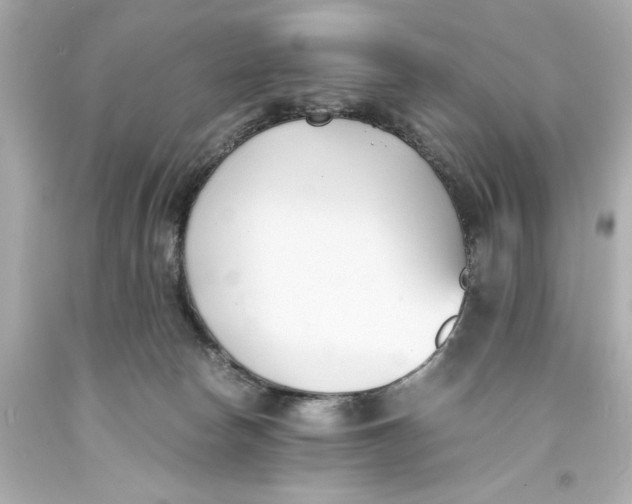 X0000093570178200711051105