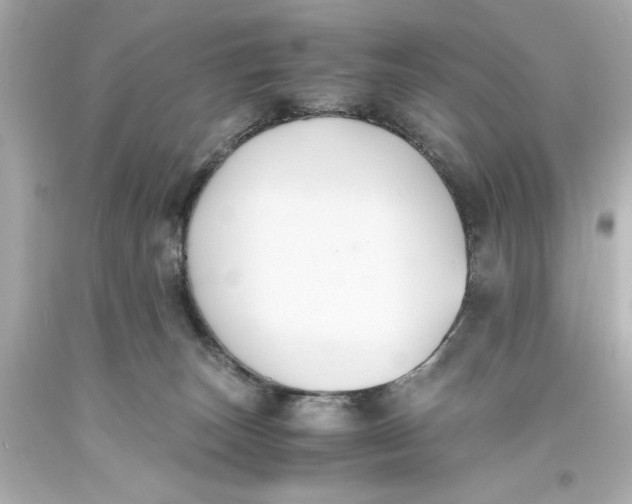 X0000093570179200711051105