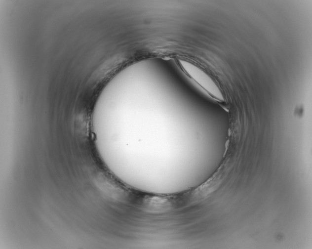 X0000093570180200711051105