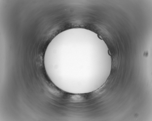 X0000093570183200711051105