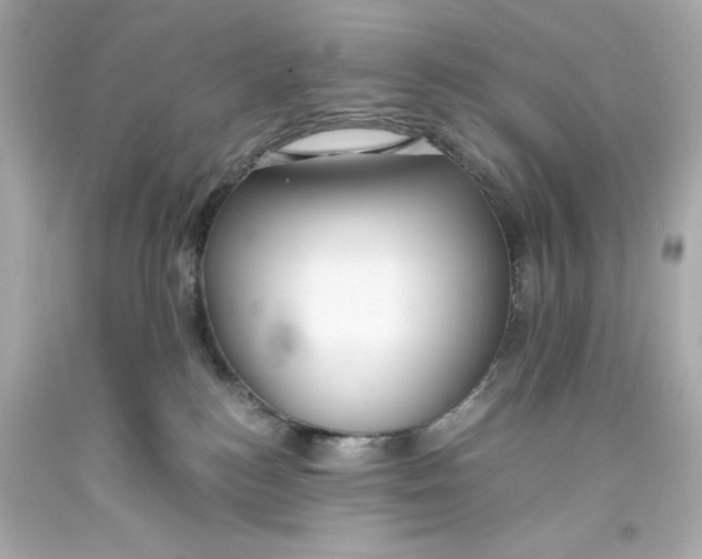 X0000093570184200711051105