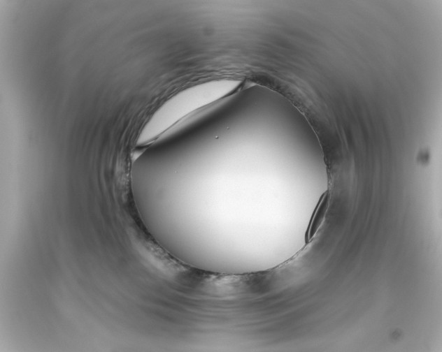 X0000093570186200711051105