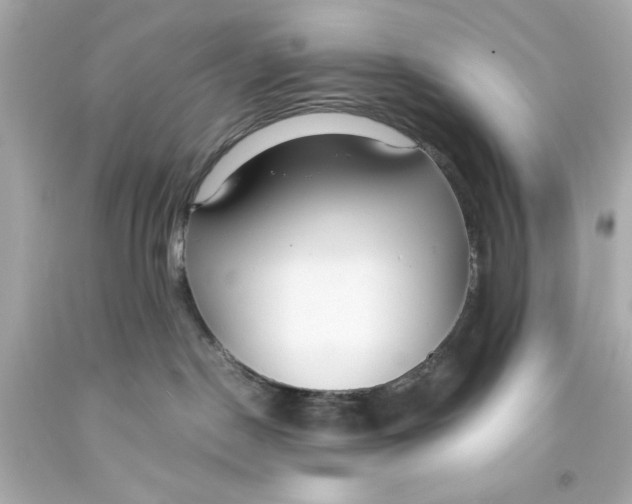 X0000093570190200711051105