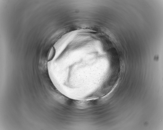 X0000093570191200711051105