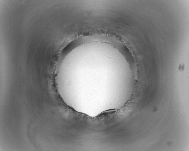 X0000093570192200711051105