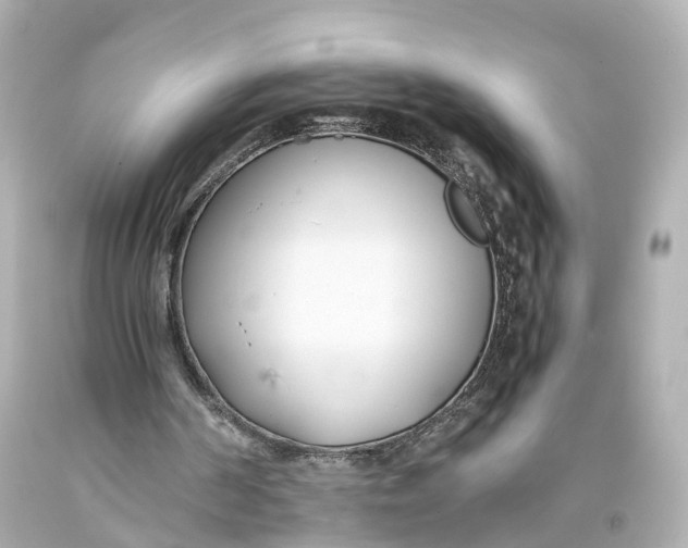 X0000093570194200711051104