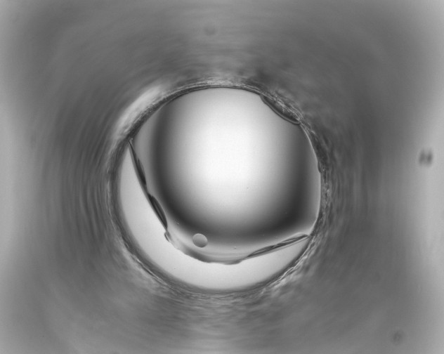 X0000093570197200711051104