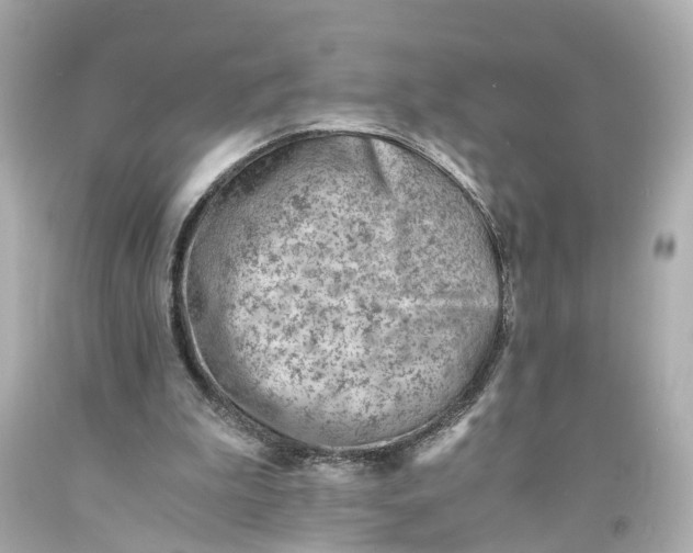 X0000093570199200711051104