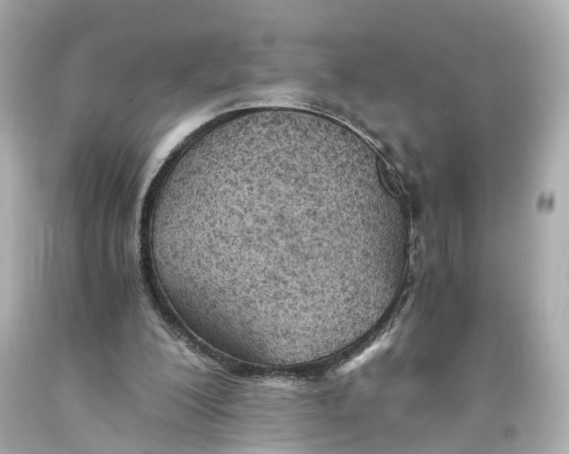 X0000093570200200711051104