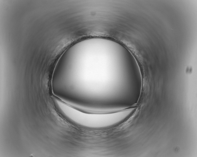 X0000093570201200711051104