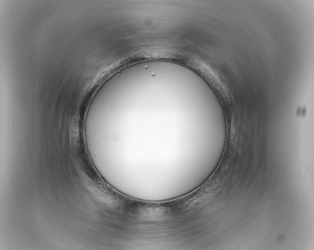 X0000093570202200711051104