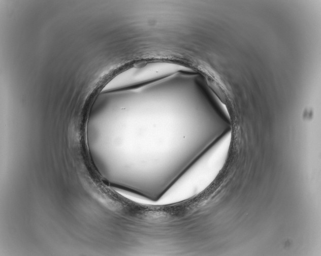 X0000093570203200711051104