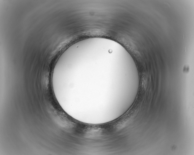 X0000093570206200711051104