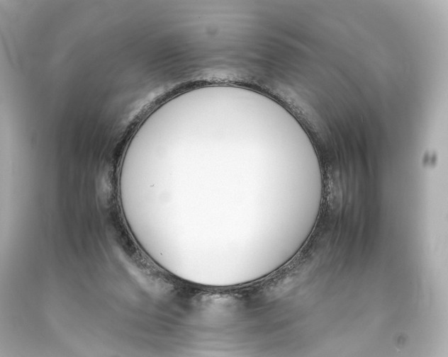 X0000093570208200711051104