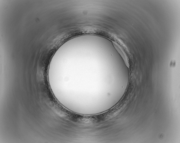 X0000093570209200711051104