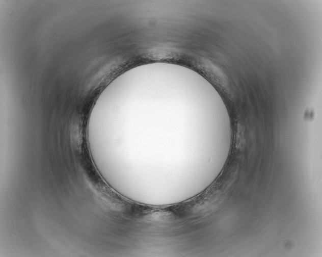 X0000093570210200711051104