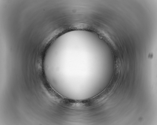 X0000093570212200711051104